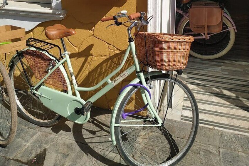 Vintage Style Bike Rental in Malaga