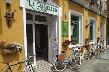 Vintage Style Bike Rental in Malaga