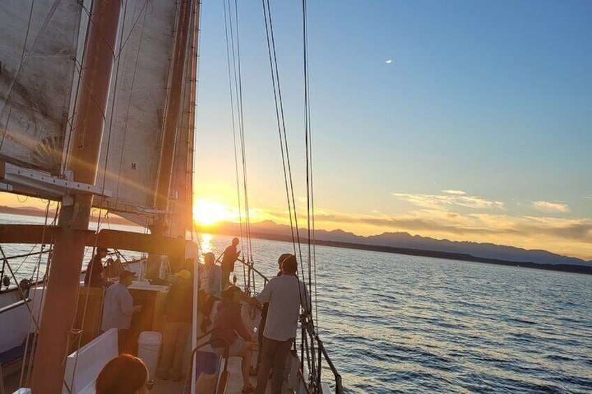 Our amazing sailboat is the largest and most comfortable public sailing vessel in Seattle. We have comfortable seats for relaxing and wide decks to enjoy moving around the vessel.