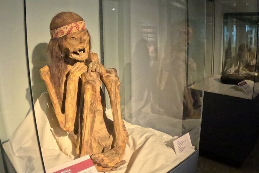 museum mummies