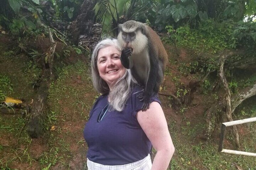 Half Day Tour - Popular Sites in Grenada, Forest Reserve,Spice Market,Waterfalls