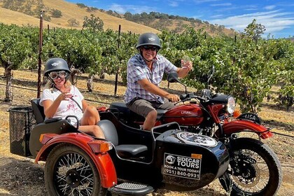 Private Sidecar Wine Tasting Tour through Santa Ynez