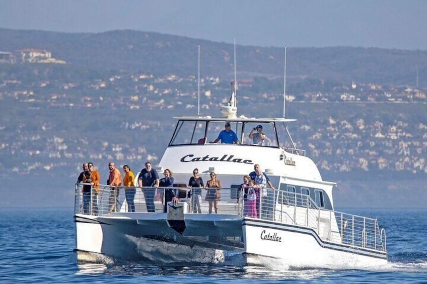 Our whale watching catamaran yacht off Laguna Beach. 