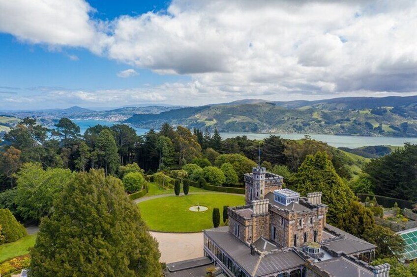 Cruise Ship Dunedin City and Castle Tour