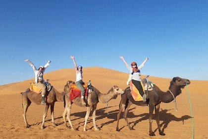 3 Days Private Tour From Fes To Marrakech Via Merzouga Dunes