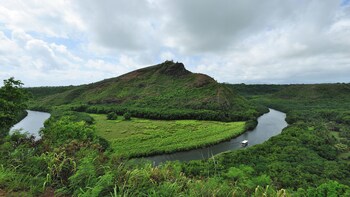 Day Tour to Waimea Canyon & Fern Grotto Tour from Oahu