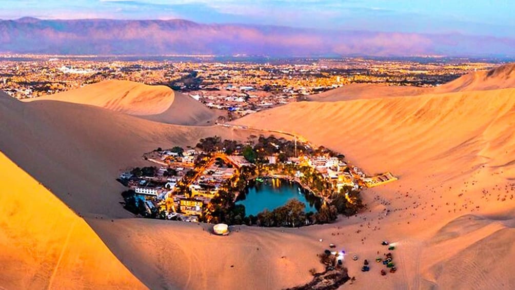 From Lima: Paracas and Huacachina Oasis Tour by Luxury Bus