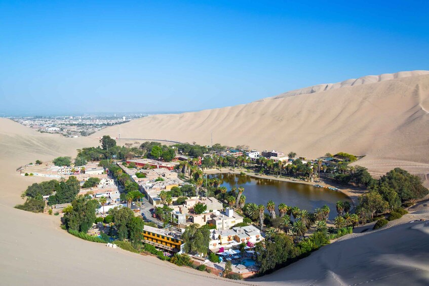 Picture 4 for Activity From Lima: Paracas and Huacachina Oasis Tour by Luxury Bus