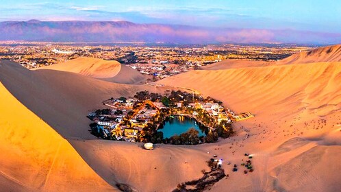 De Lima : Paracas et Huacachina Oasis Tour en bus de luxe