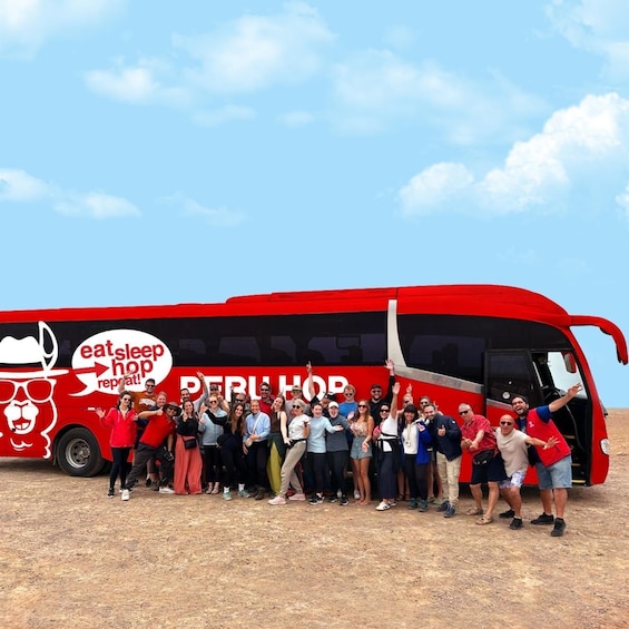 Picture 5 for Activity From Lima: Paracas and Huacachina Oasis Tour with Luxury Bus