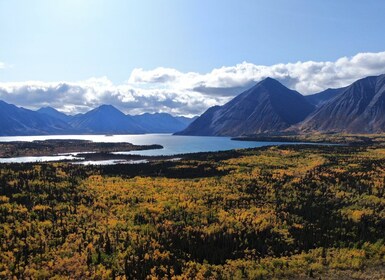 Whitehorse: Kluane National Park & Haines Junction Day Trip