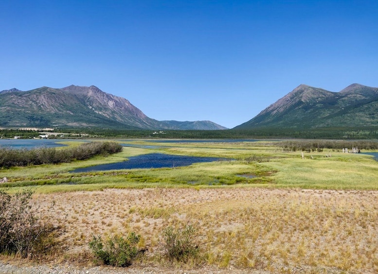 Picture 1 for Activity From Whitehorse: Skagway Day-Trip