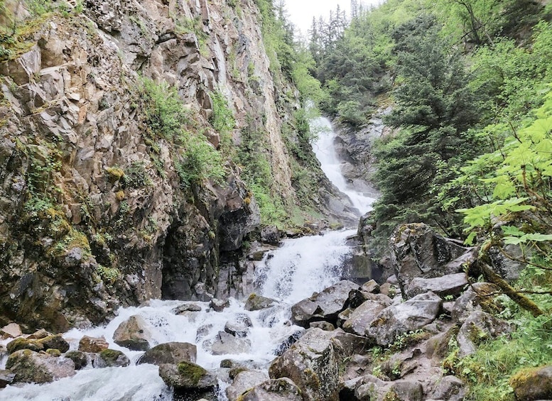 Picture 3 for Activity From Whitehorse: Skagway Day-Trip
