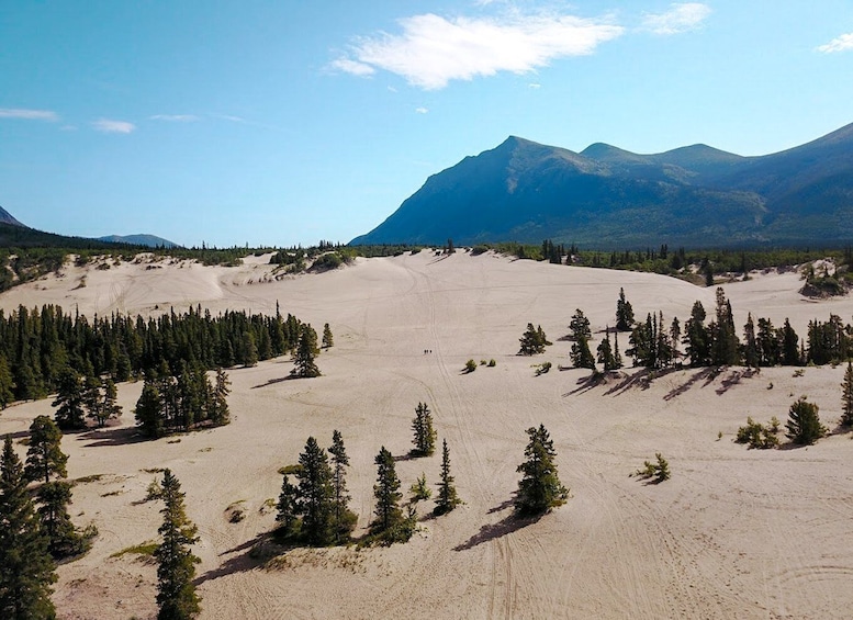 Picture 7 for Activity From Whitehorse: Skagway Day-Trip