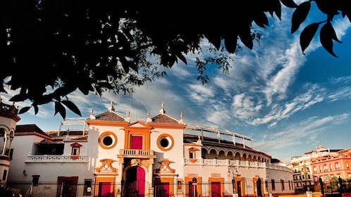 Visita turística artística de 3 horas por Sevilla y crucero