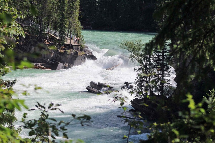 Picture 9 for Activity 5-Hour Fraser River Rafting in Jasper National Park