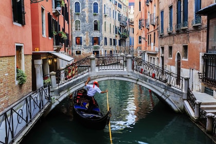 Vanaf het Gardameer: Groepsrondleiding van een hele dag door Venetië