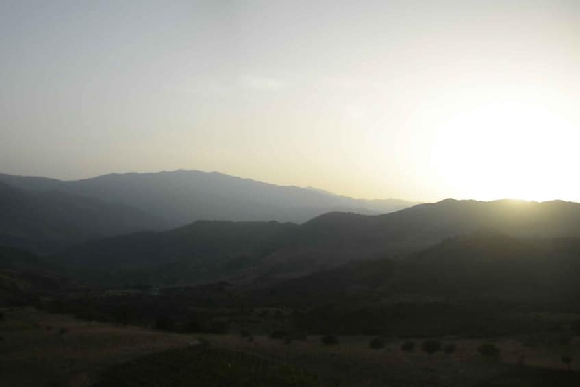 Picture 3 for Activity Cefalu: Dinner in the Madonie Mountains