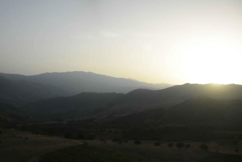 Picture 3 for Activity Cefalu: Dinner in the Madonie Mountains
