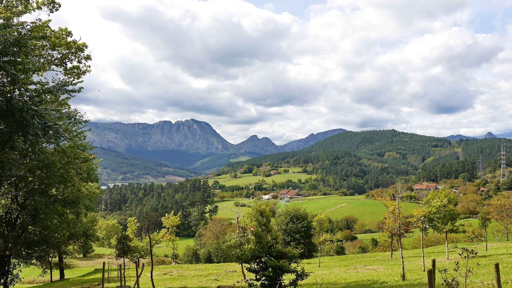 Picture 2 for Activity From Bilbao: Elorrio, Oñati, and Sanctuary of Arantzazu Tour