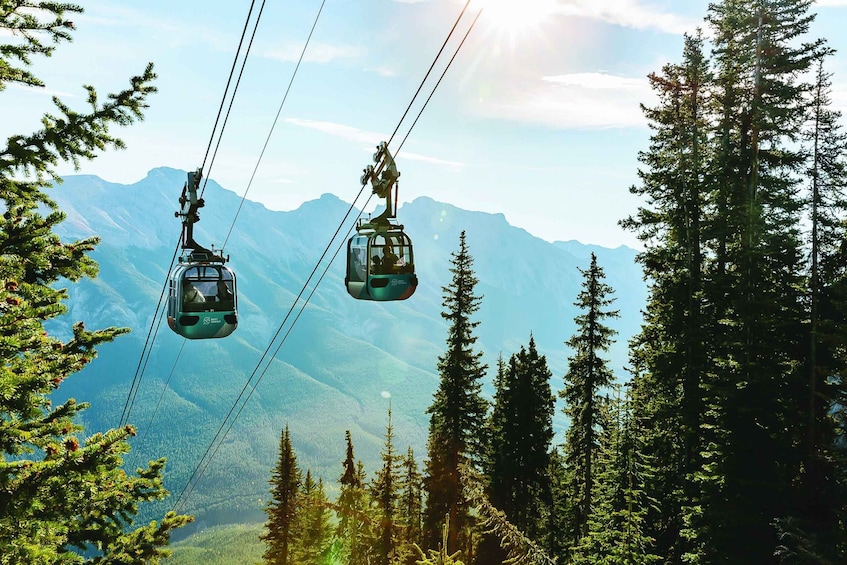 Picture 15 for Activity Banff: Banff Gondola Admission Ticket