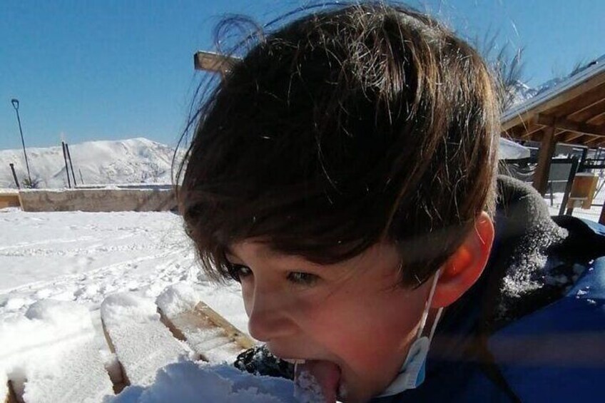 Full Day Tour to Valle Nevado and Panoramic Farellones