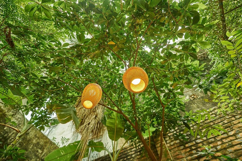 Picture 12 for Activity Hanoi: Cooking Class in a Local Villa with Market Tour