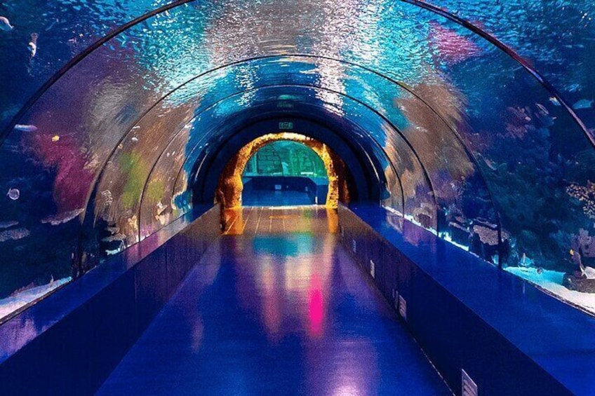4-Hour Guided Antalya Aquarium Tour 