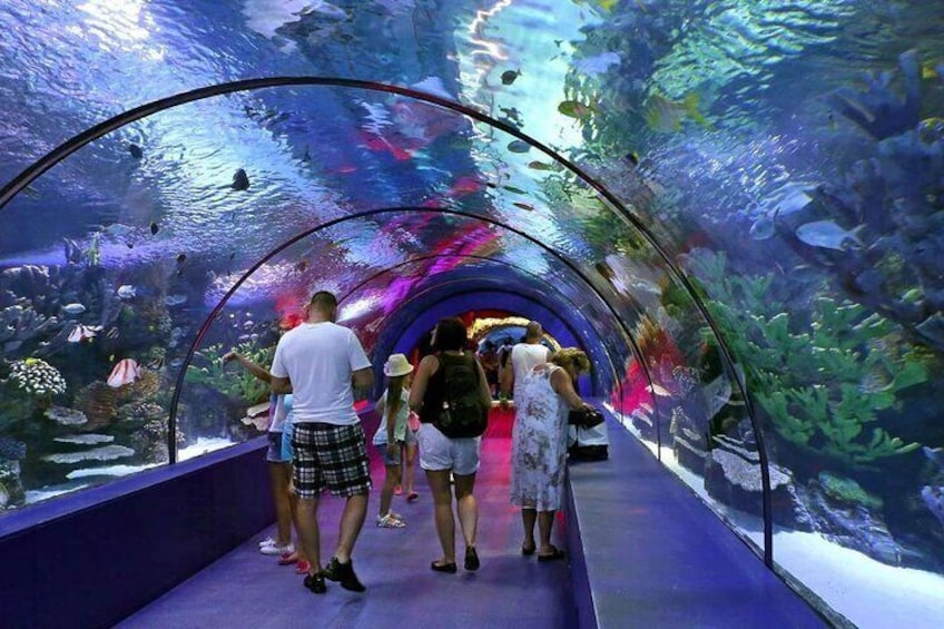 4-Hour Guided Antalya Aquarium Tour