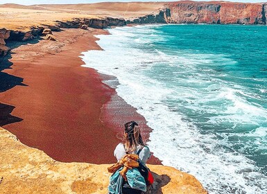 Depuis Lima : Paracas, Ballestas Island et Huacachina 2 excursion d’une jou...