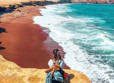 Desde Lima: Excursión de 2 días a Paracas, Isla Ballestas y Huacachina