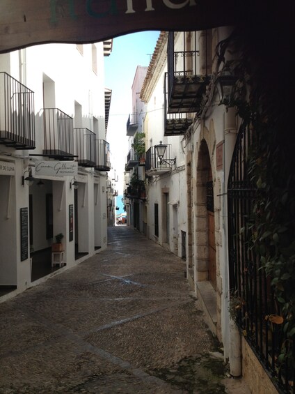 Picture 4 for Activity From Costa Dorada: Peñíscola and Ebro Delta Sightseeing Tour