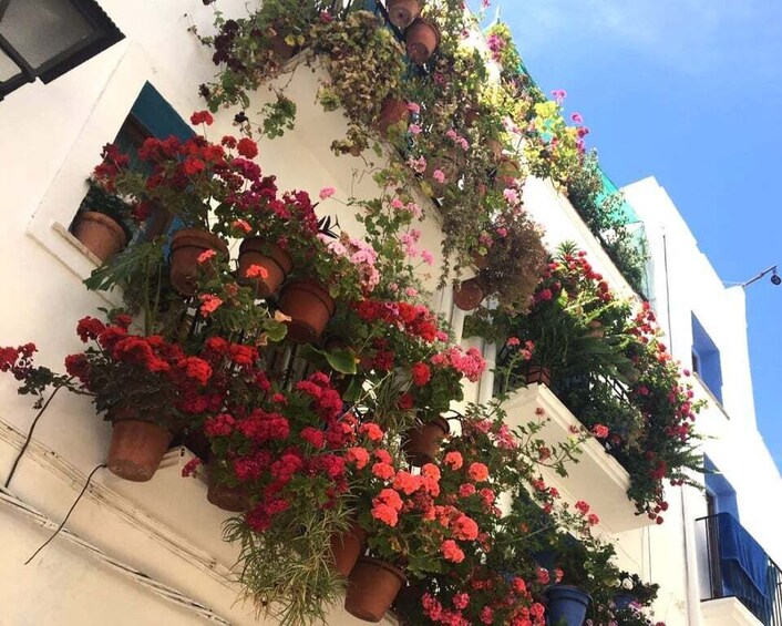 Picture 7 for Activity From Costa Dorada: Peñíscola and Ebro Delta Sightseeing Tour