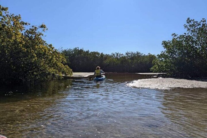 2 Hours Kayak Eco Tour in Tarpon Springs