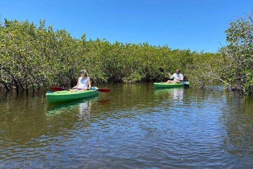 2 Hours Kayak Eco Tour in Tarpon Springs