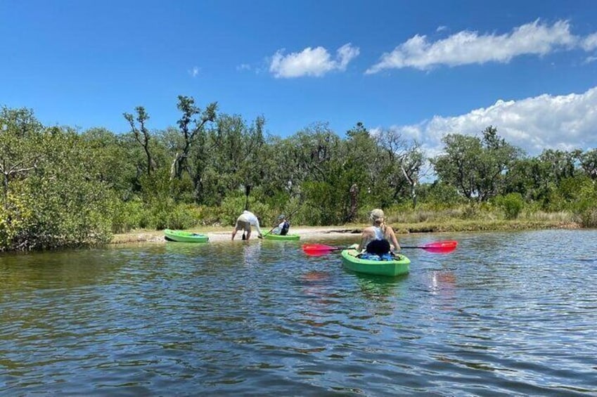 2 Hours Kayak Eco Tour in Tarpon Springs