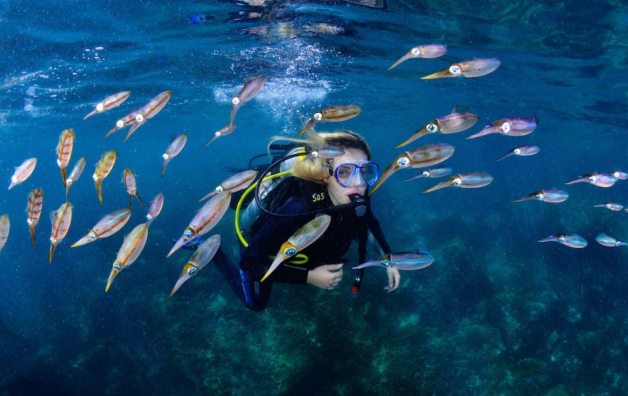 Scuba diving in Arraial do Cabo