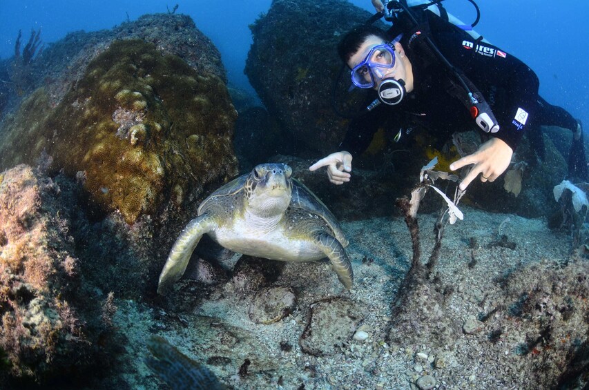 Scuba diving in Arraial do Cabo