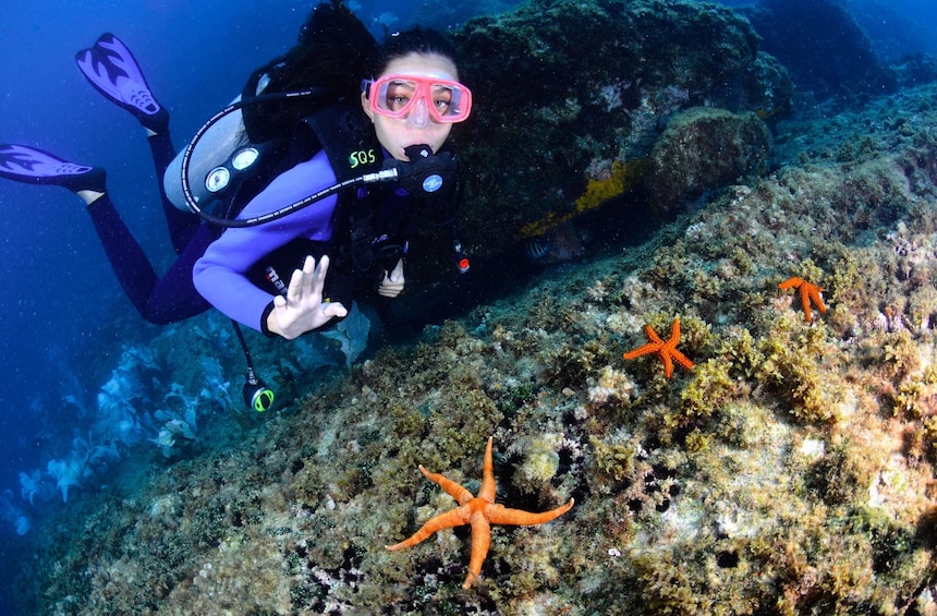 Scuba diving in Arraial do Cabo