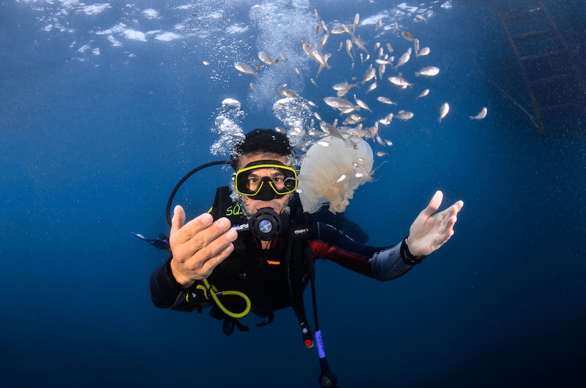 Scuba diving in Arraial do Cabo