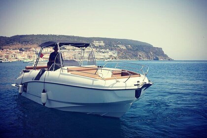 Private Boat Tour in Sesimbra with Dolphin Watching