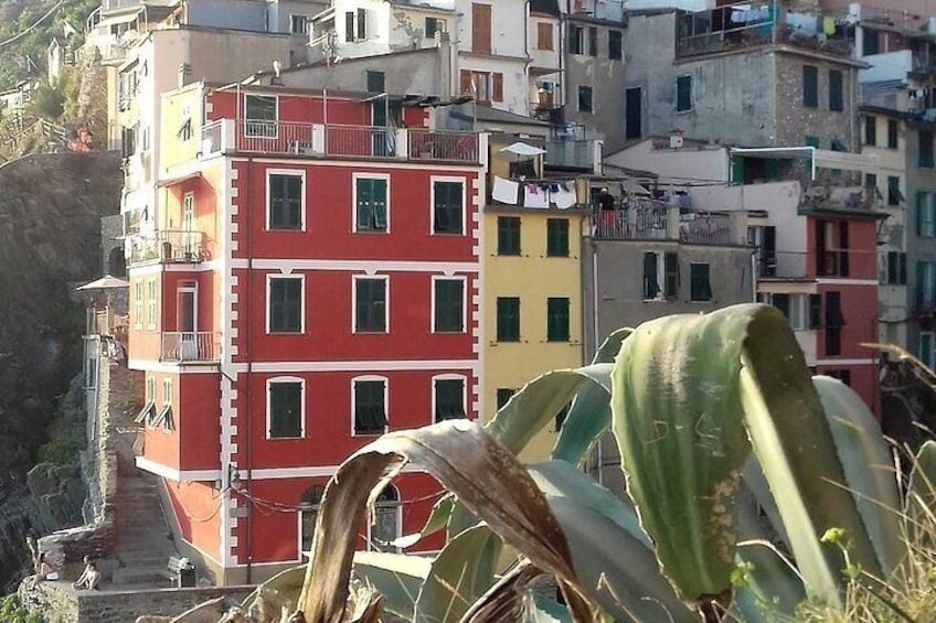 Classic Cinque Terre