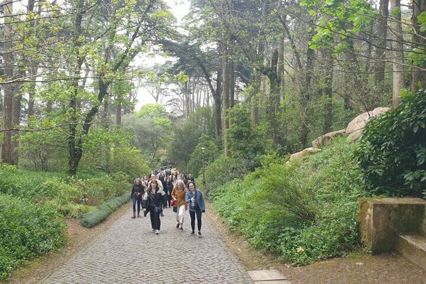 Ascent to Pena Palace