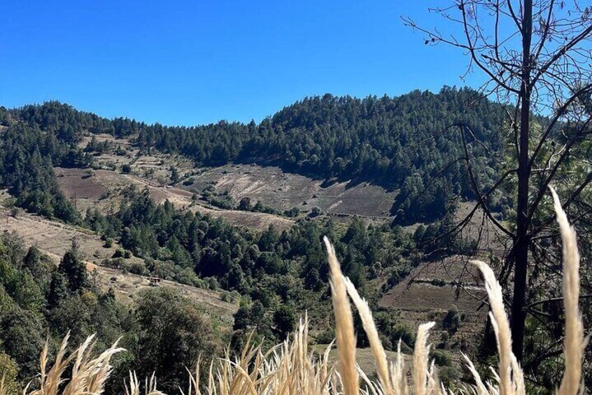 Guided Hiking in Pueblos Mancomunados on Sierra Norte 