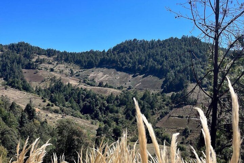 Guided Hiking in Pueblos Mancomunados on Sierra Norte