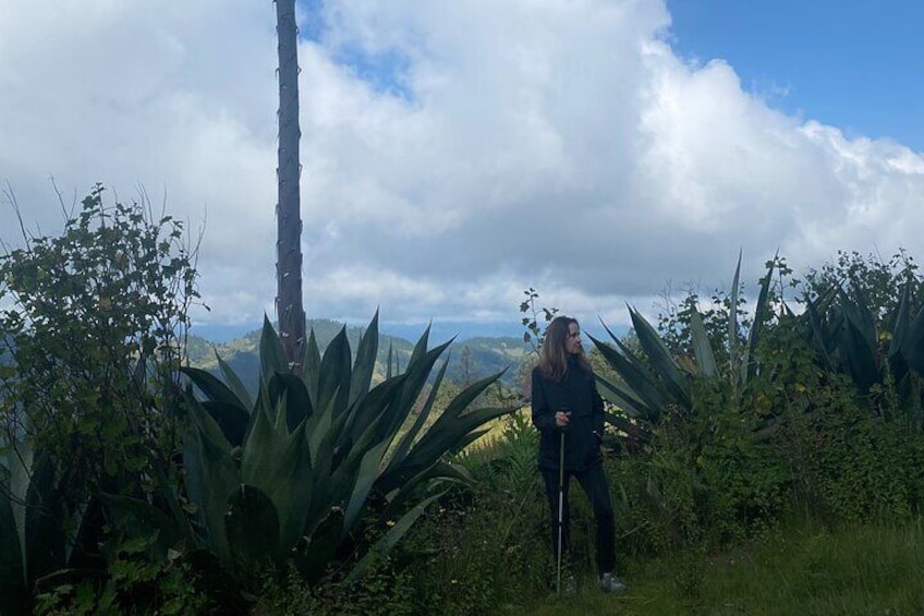 Guided Hiking in Pueblos Mancomunados on Sierra Norte 