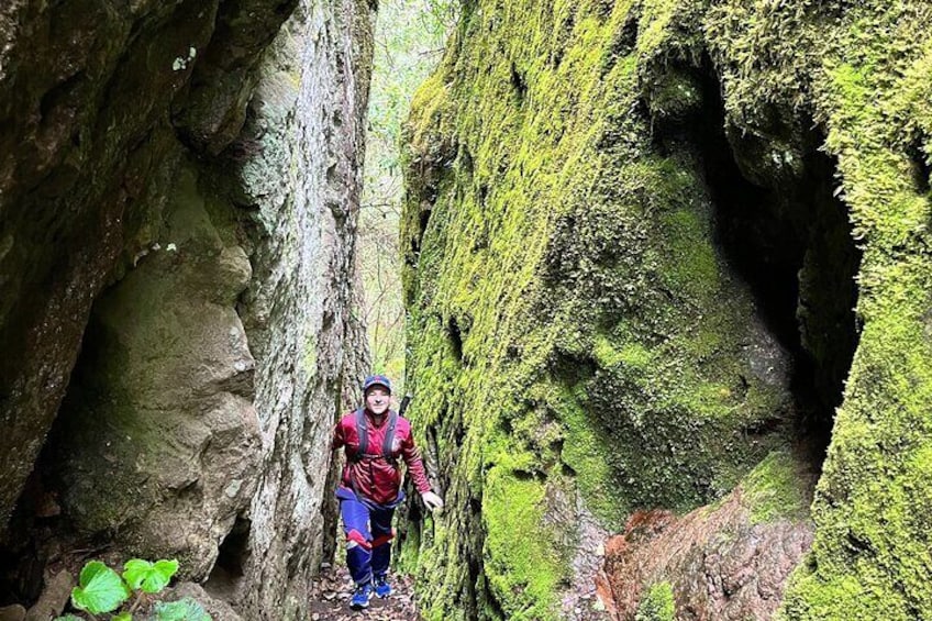 Guided Hiking in Pueblos Mancomunados on Sierra Norte 