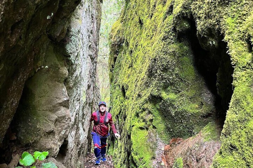 Guided Hiking in Pueblos Mancomunados on Sierra Norte
