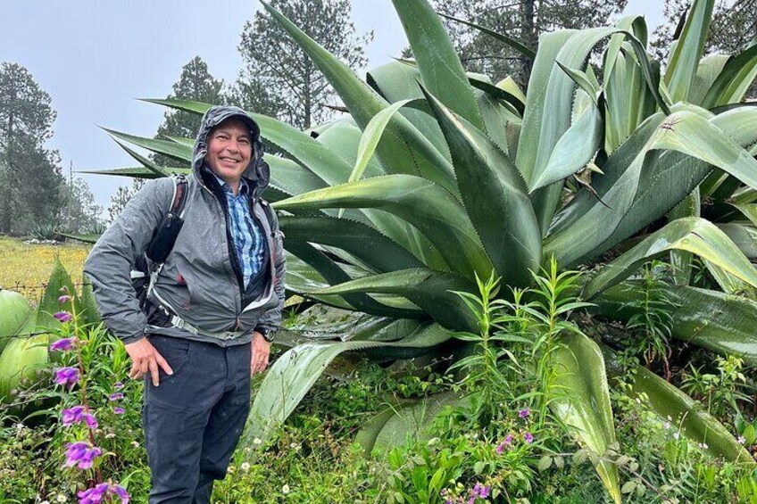 Guided Hiking in Pueblos Mancomunados on Sierra Norte
