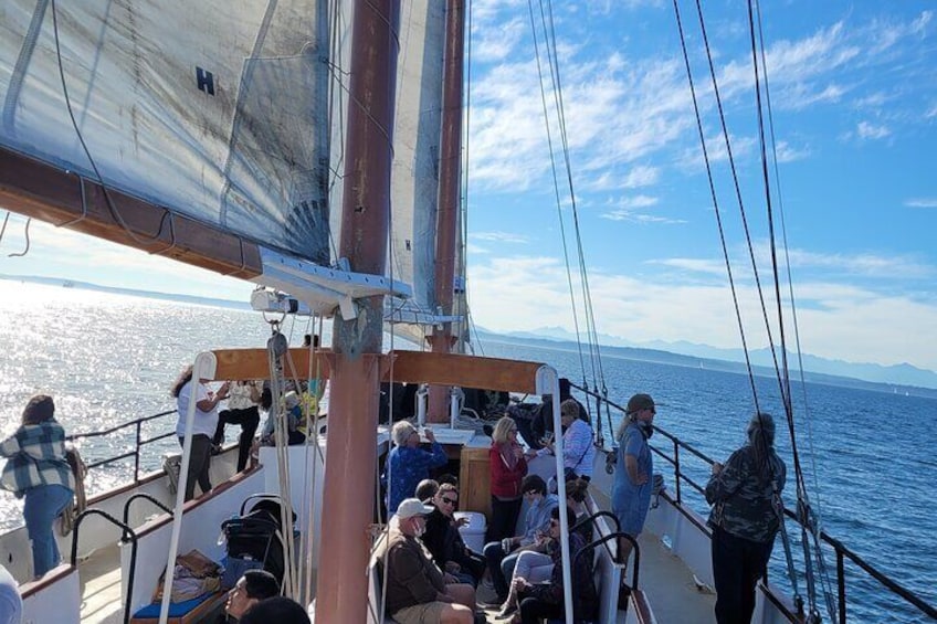 Bay Lady is the largest public sailing vessel in Seattle. With her high railing and comfortable seating, she is the premier boat ride for families.